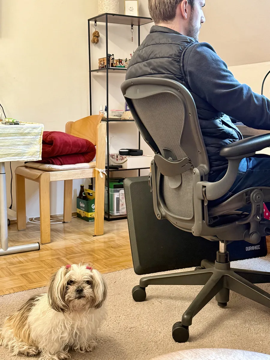 Luka working at his desk with Lina the dog nearby